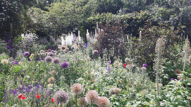 2017_06_21doschka_garten140.jpg